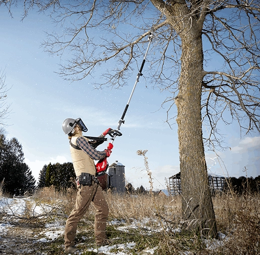 POLE SAW ATTACHMENT