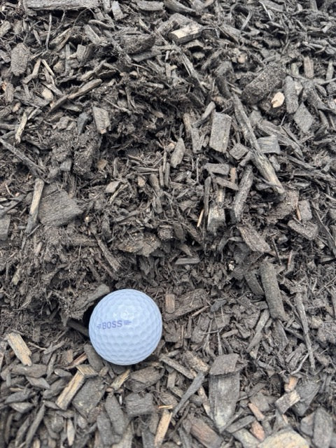 Black Designer Mulch