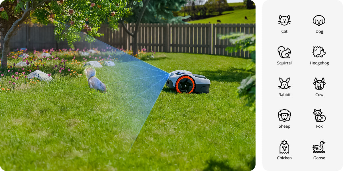 NAVIMOW i110N Robotic Mower up to 0.25 acres