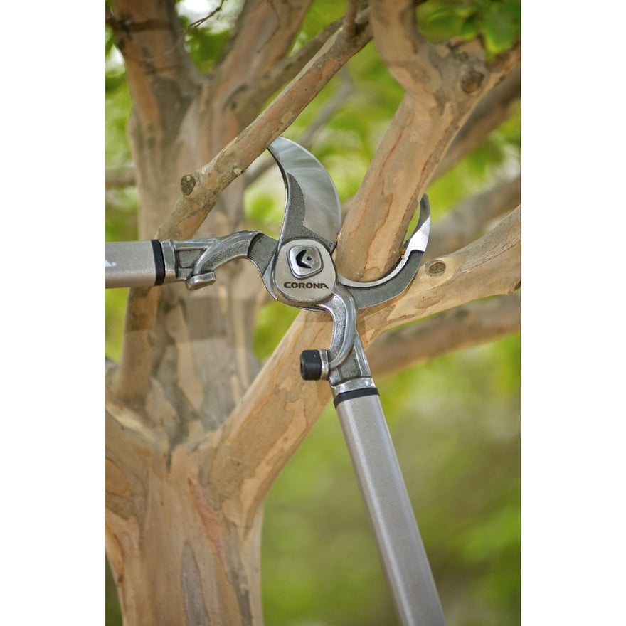 Loppers / DualCUT Bypass Lopper - 31 Inch, 2" cut capacity
