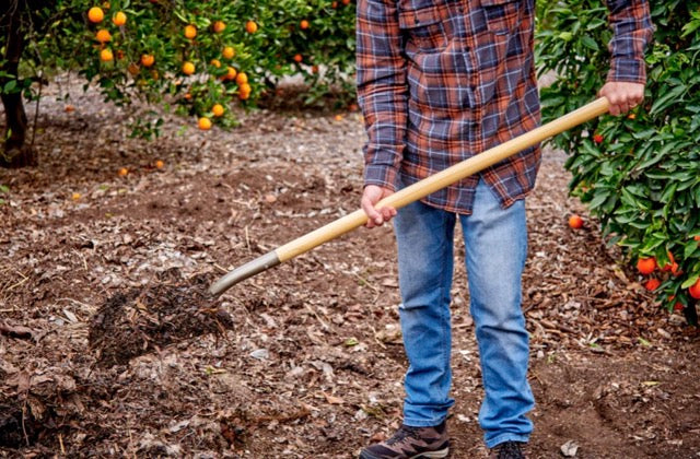 SHOVEL /
