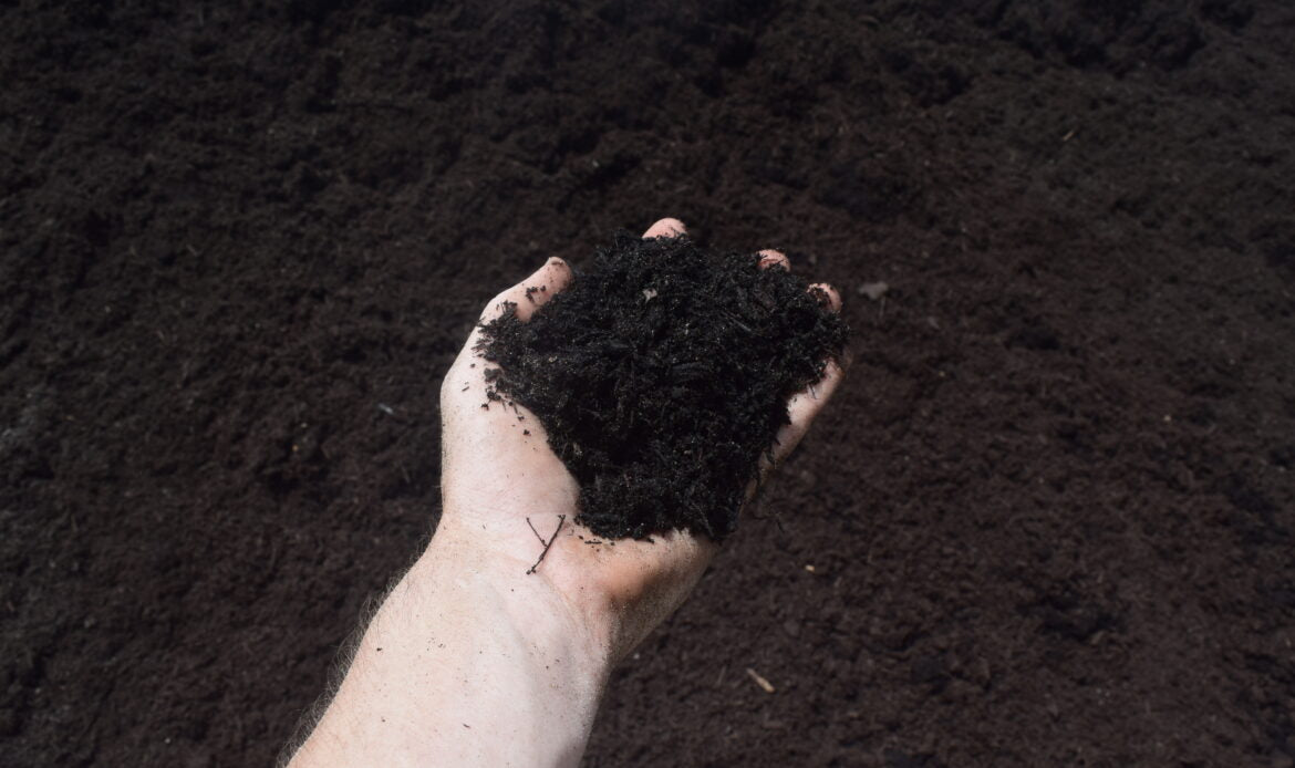 Screened Legacy Compost