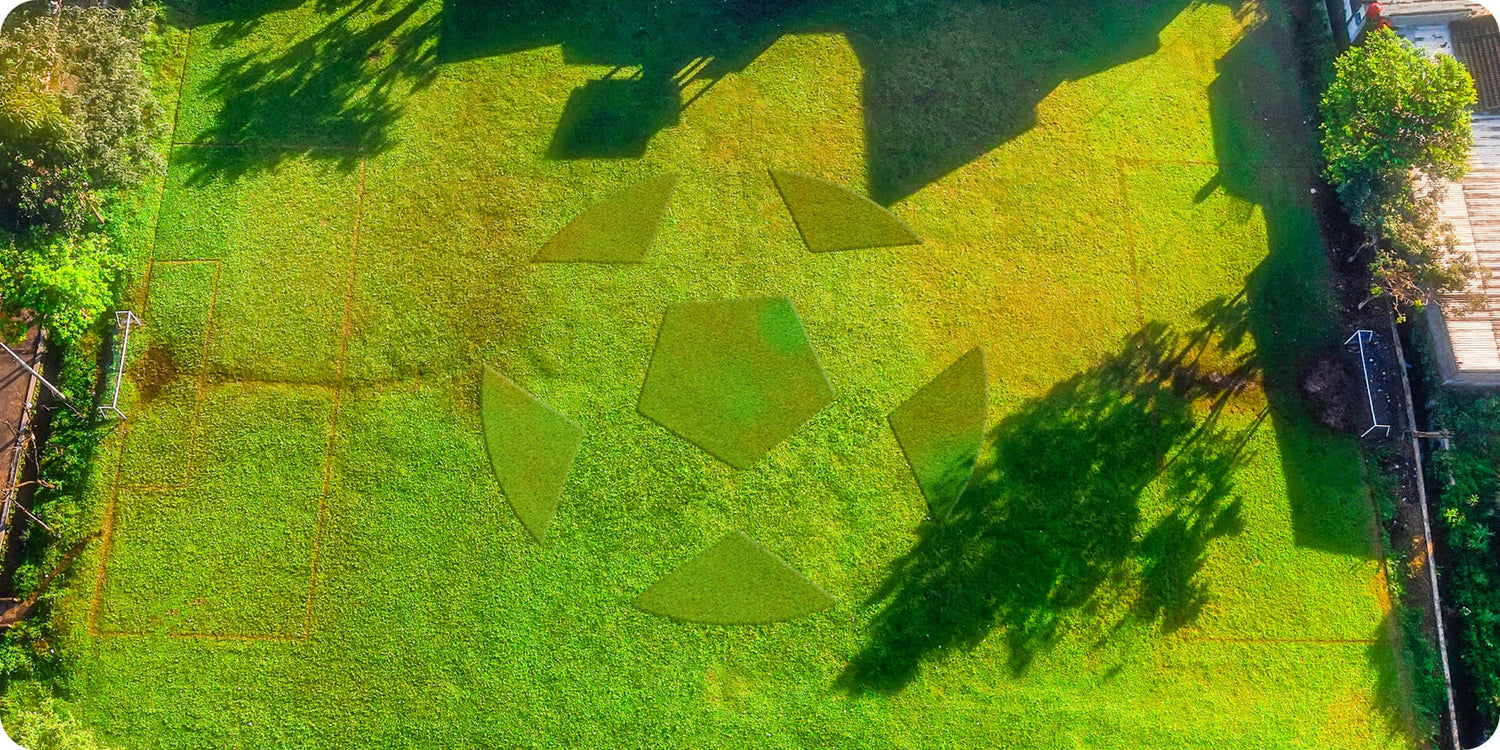 NAVIMOW i110N Robotic Mower up to 0.25 acres