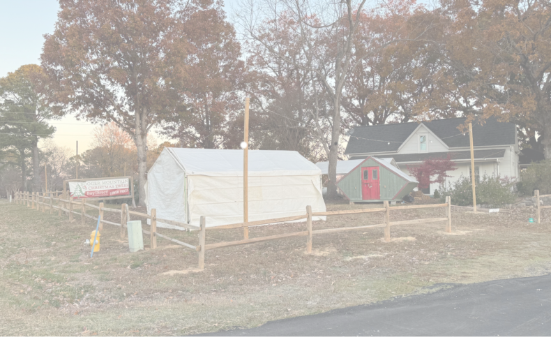 BOOGER MOUNTAIN Christmas Trees