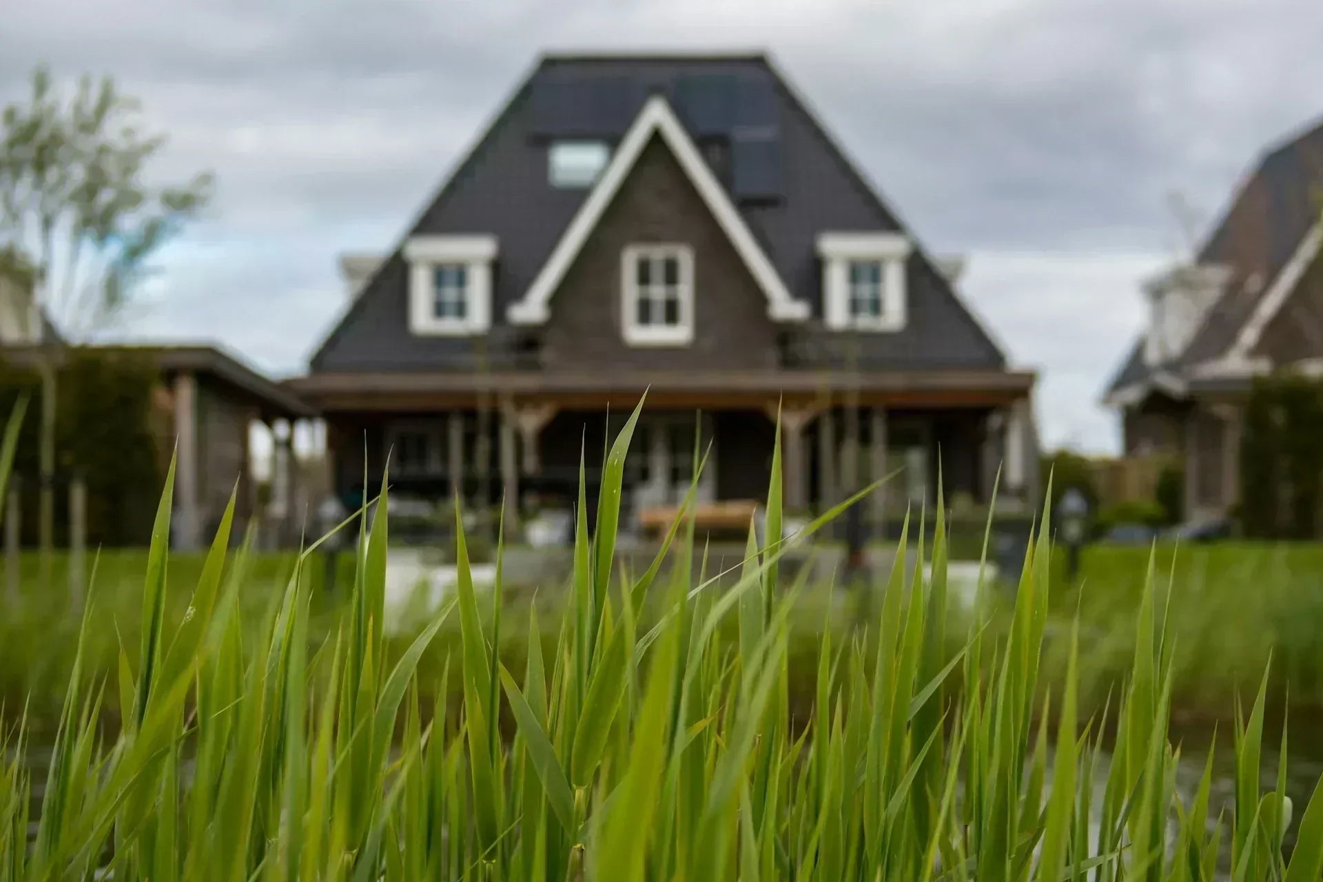 Best Grass Seed for North Carolina