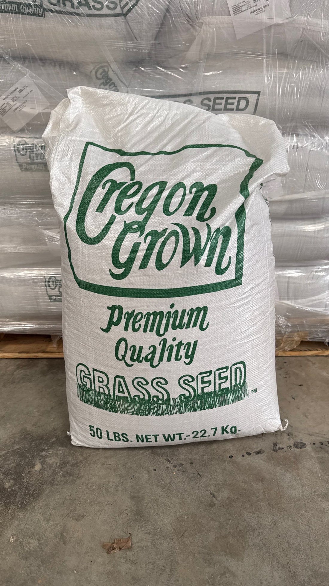 SEED - Annual Ryegrass