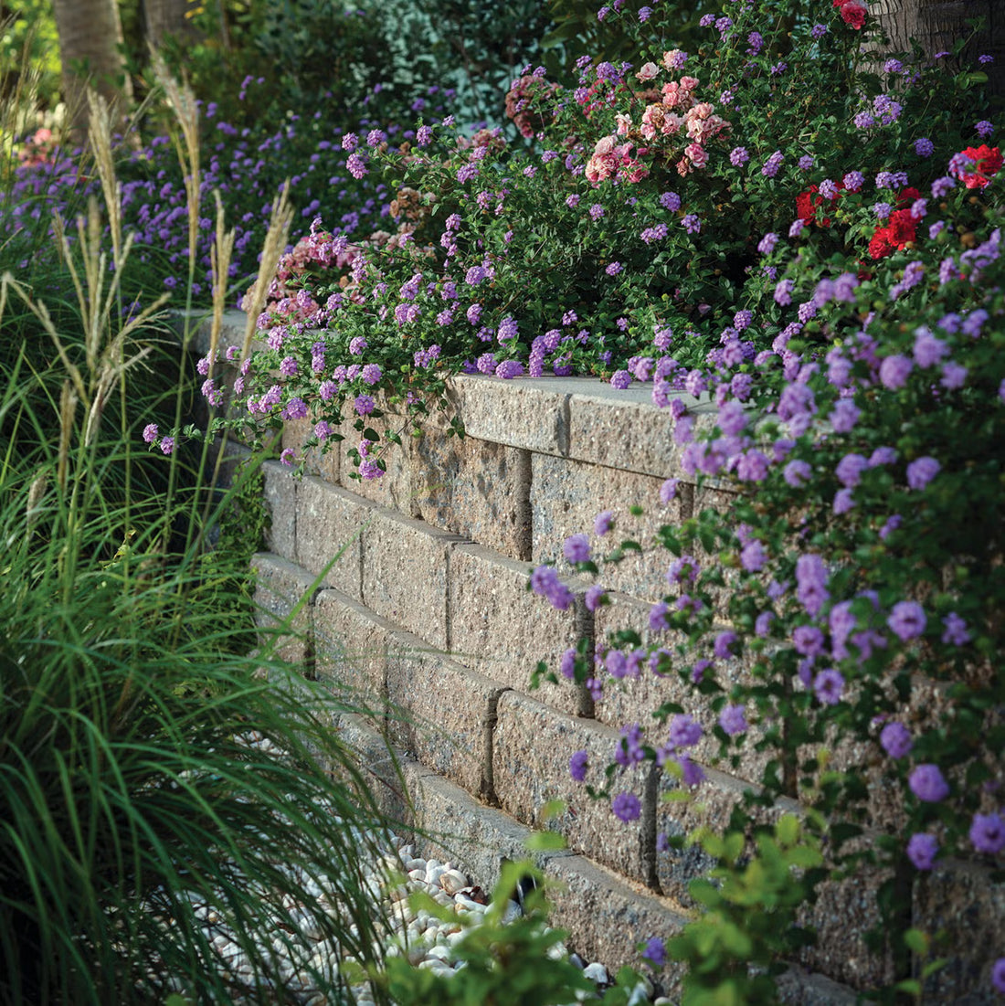 Belgard Diamond Pro Corner | Timberline | Sold by Layer or Pallet