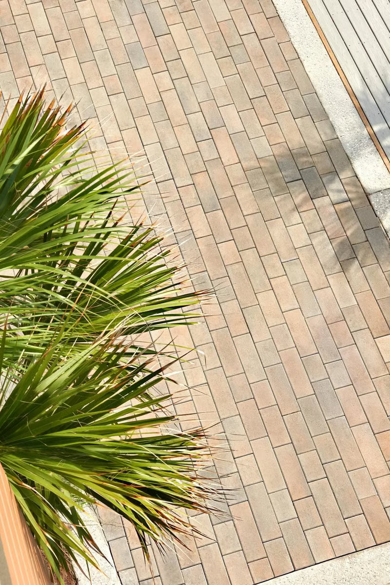 Techo Linea Small | Champlain Grey | Sold by Layer or Pallet