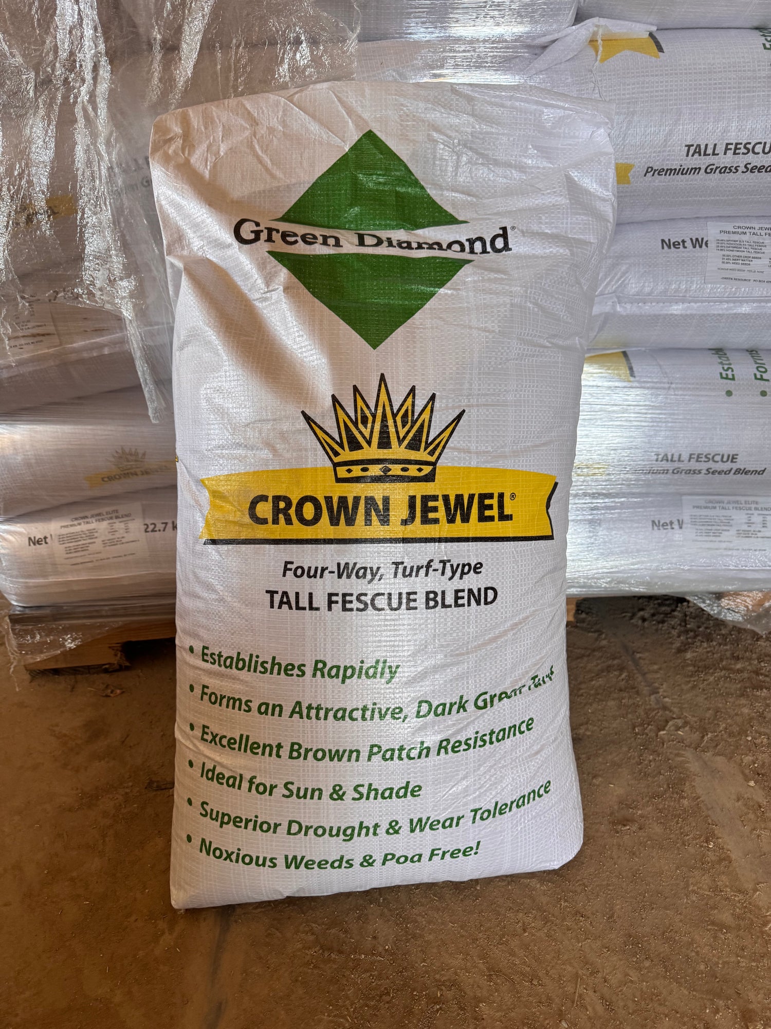 SEED / Crown Jewel Fescue Blend