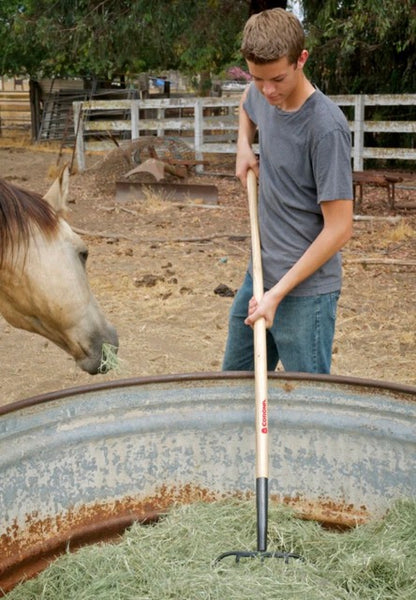 FORK / Hay Fork - 5 Tine