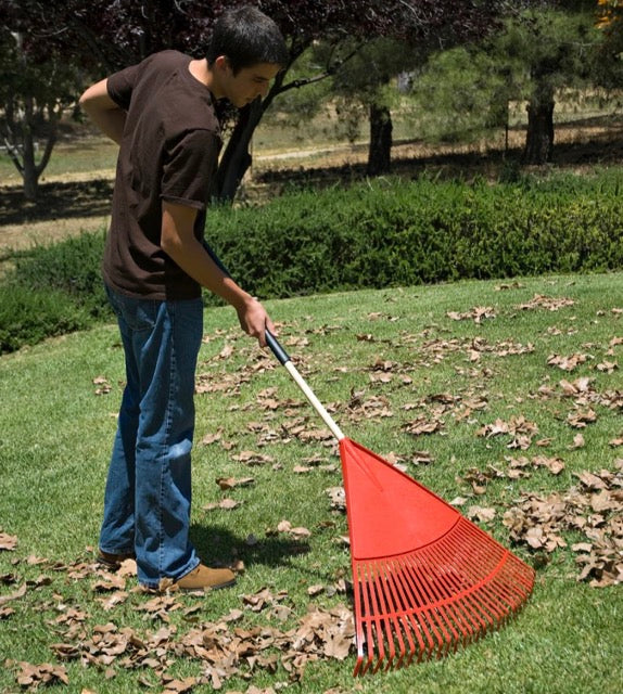 RAKE / Poly Leaf Rake - 24 Inch/26 Tines