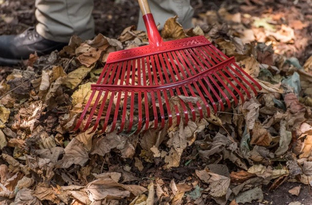 RAKE / Fixed Tine Leaf Rake - 19 Inch/25 tines