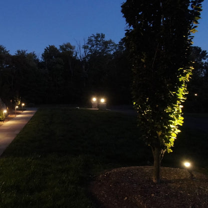 Traditional Accent Light