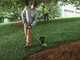 EGO Commercial Line Trimmer (RENTAL)